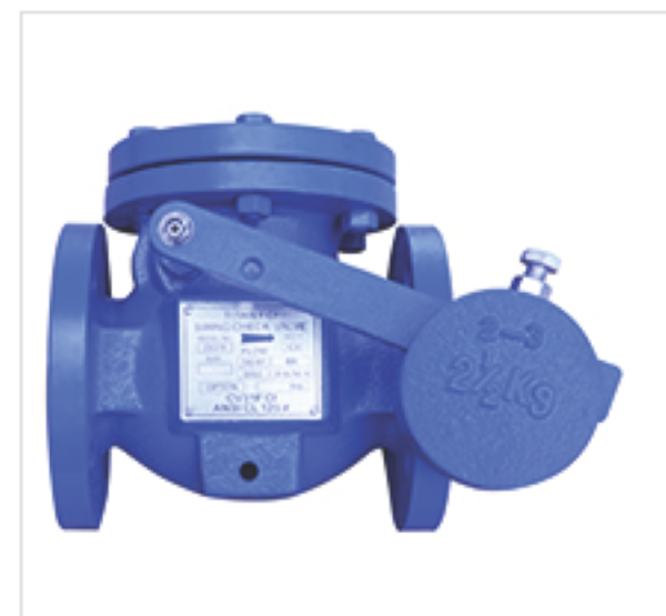 Titan Swing Type Check Valve, Single Disc - 125# Flanged W/ Lever & Wt