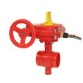 fire protection butterfly valve