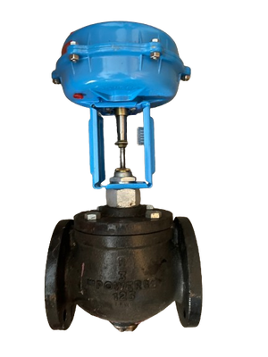 water and steam valve