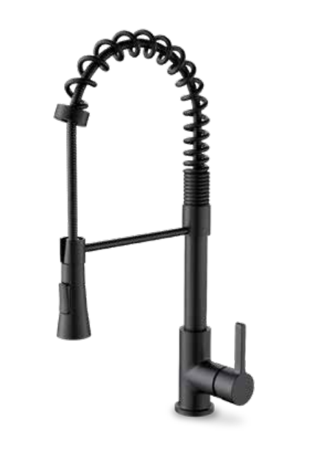 Tavo Single Handle Spring Neck Kitchen Faucet