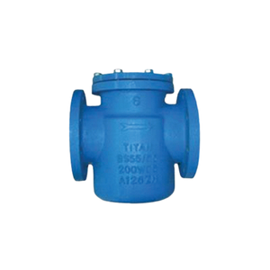 Titan flow control Basket Strainer in cast iron with bolted cover