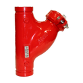 Fire protection wye strainer, y-strainer